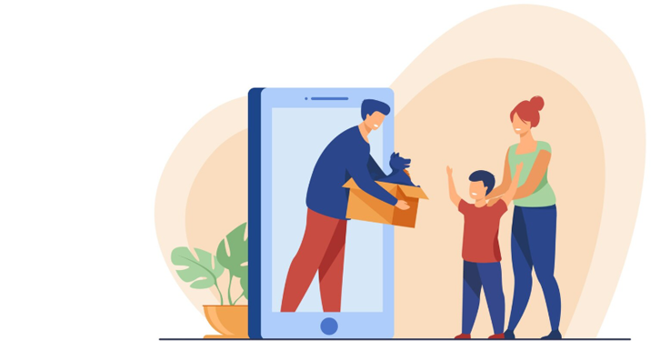 pet relocation